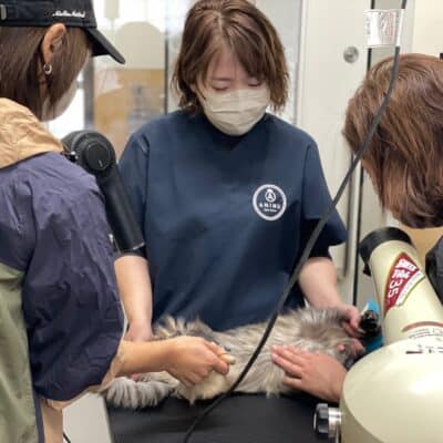 Langzündhölzer Lienbacher ab 20 x 55 St. Packung, Länge 200 mm, Streichhölzer – Bild 2